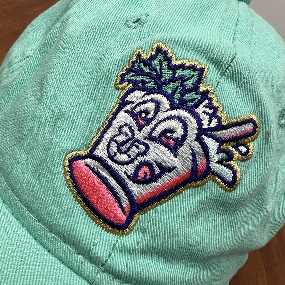 DC Sports Baseball Cap LEXINGTON LEGENDS Mint Julep Horseshoe Hat Unique MLB